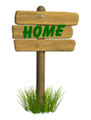 Torna alla home page